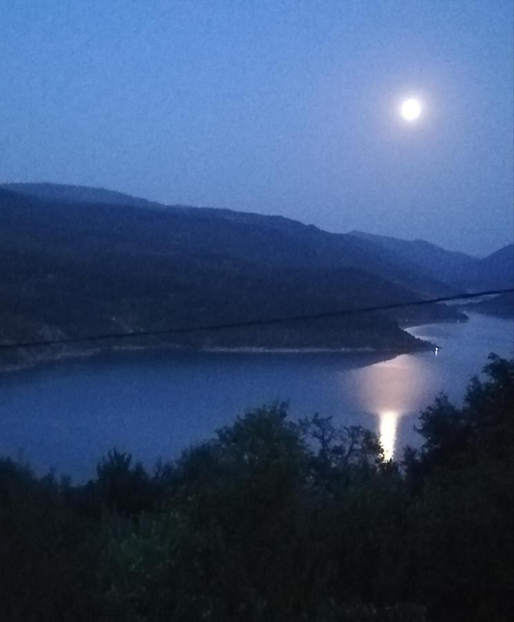 Vila Zapis - Zavojsko Jezero Πίροτ Εξωτερικό φωτογραφία