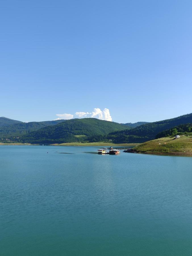 Vila Zapis - Zavojsko Jezero Πίροτ Εξωτερικό φωτογραφία