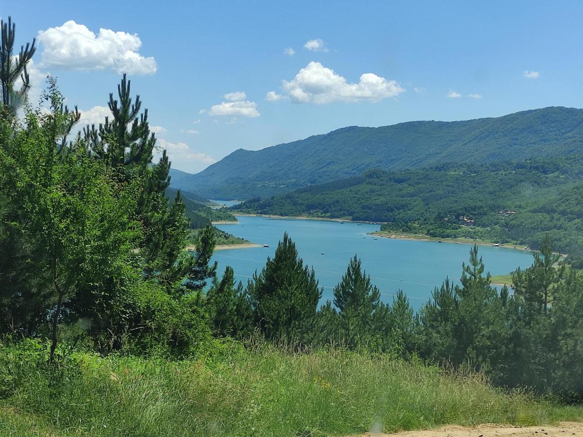 Vila Zapis - Zavojsko Jezero Πίροτ Εξωτερικό φωτογραφία