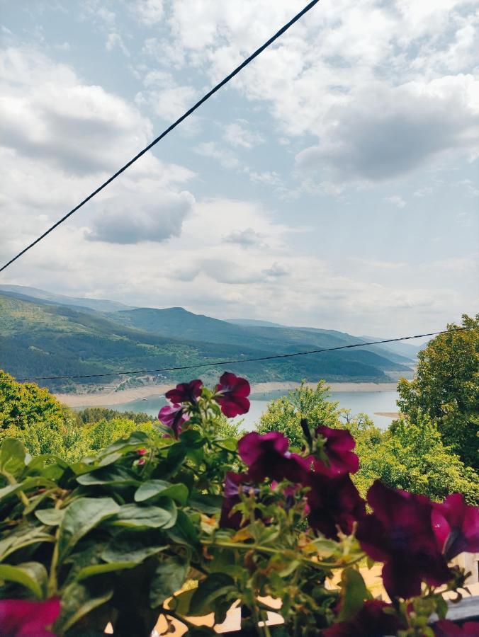 Vila Zapis - Zavojsko Jezero Πίροτ Εξωτερικό φωτογραφία