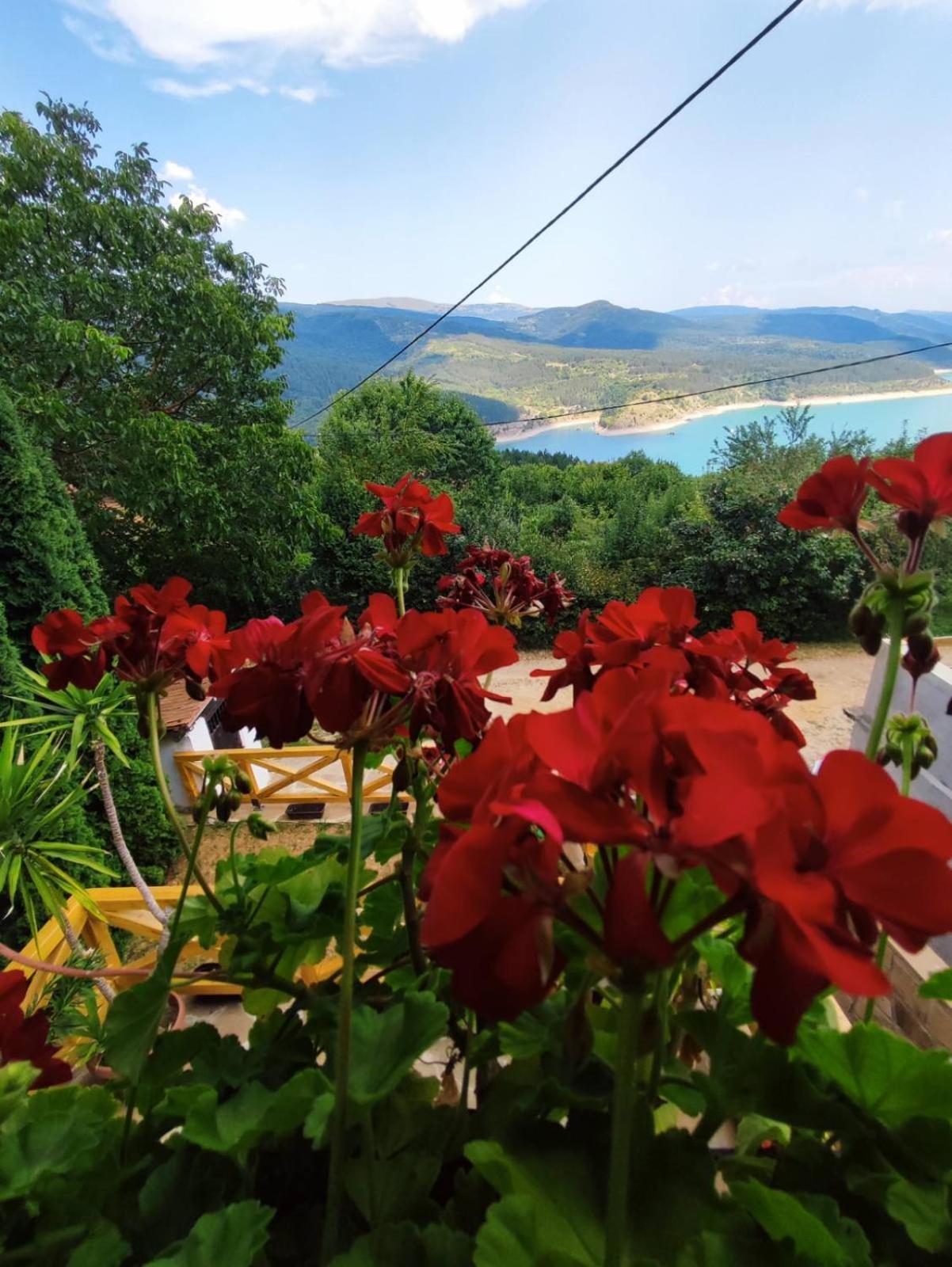 Vila Zapis - Zavojsko Jezero Πίροτ Εξωτερικό φωτογραφία